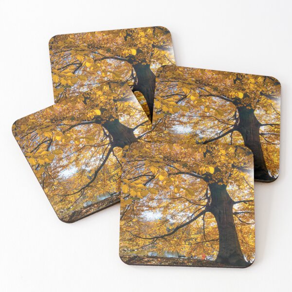 Item preview, Golden sunshine in the fall in Central Park, New York designed and sold by Itsgrimupnorth.
