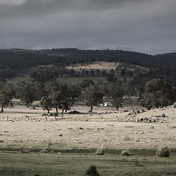 Artwork thumbnail, The shades of rural NSW by Mark Elshout
