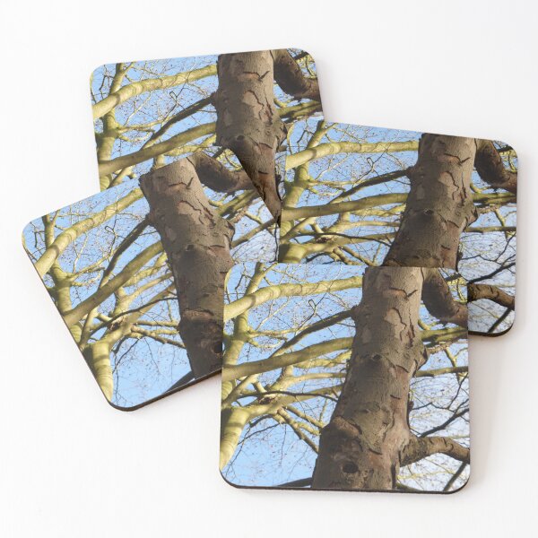 Item preview, Boomstam Vertakkend designed and sold by CamphuijsenArt.