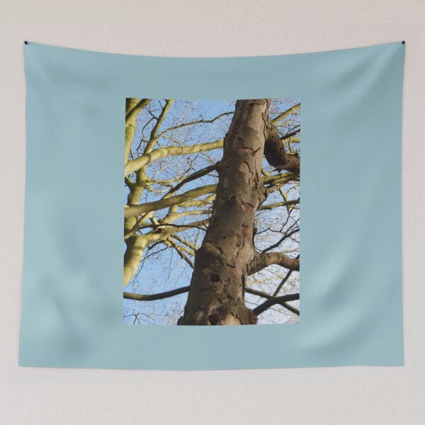 Item preview, Boomstam Vertakkend designed and sold by CamphuijsenArt.