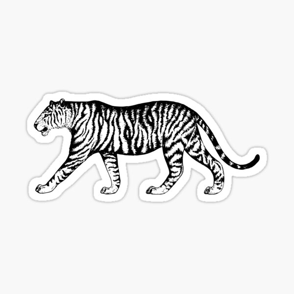 Item preview, Tigers (Orange and White) designed and sold by illucalliart.
