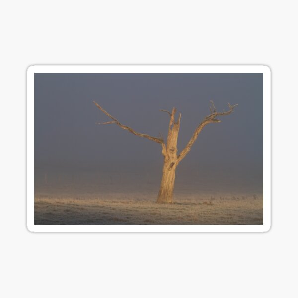 Item preview, ~ The Tree ~ designed and sold by Leeo.