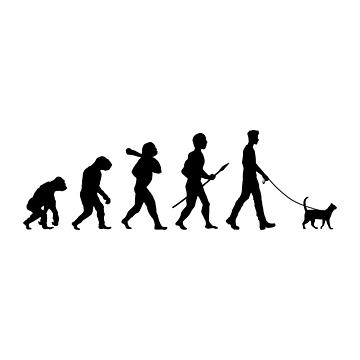 Artwork thumbnail, Catvolution by CCCDesign