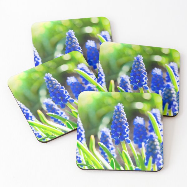 Item preview, grape hyacinth designed and sold by onepony.