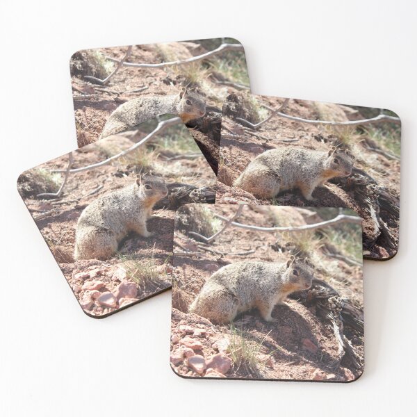 Item preview, Grand Canyon Squirrel 2 designed and sold by GymWiller.