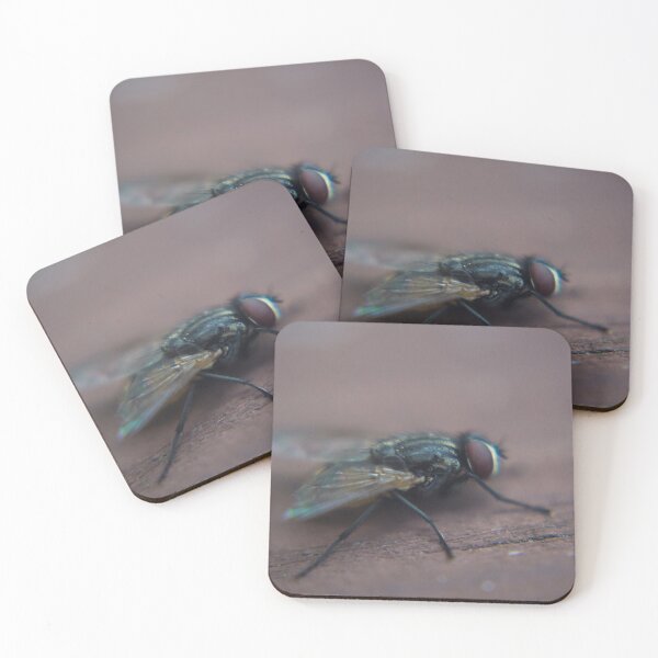 Item preview, Macro Shot Of A Fly On A Picnic Table. designed and sold by JmanInABox.