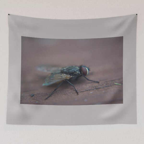 Item preview, Macro Shot Of A Fly On A Picnic Table. designed and sold by JmanInABox.