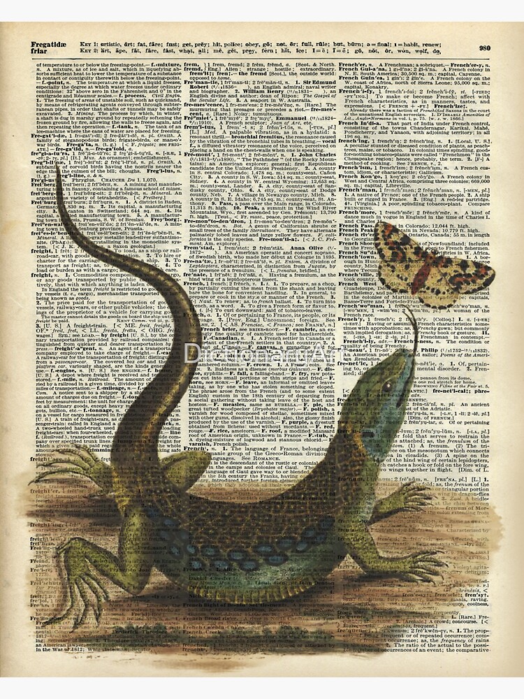 Lizard catching a moth,Vintage Illustration of Reptile. Sticker