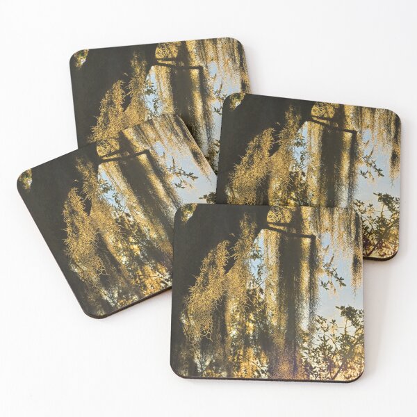 Item preview, Spanish Moss Vertical 2 designed and sold by LisaWootenPhoto.