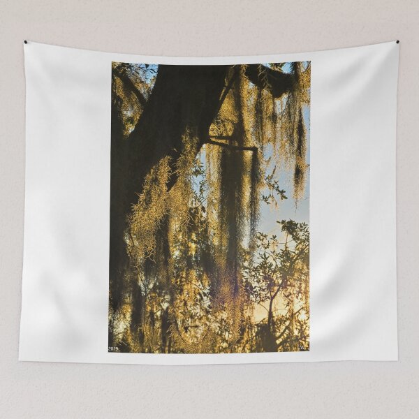Item preview, Spanish Moss Vertical 2 designed and sold by LisaWootenPhoto.
