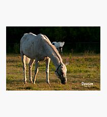 Our Morning Angel Photographic Print