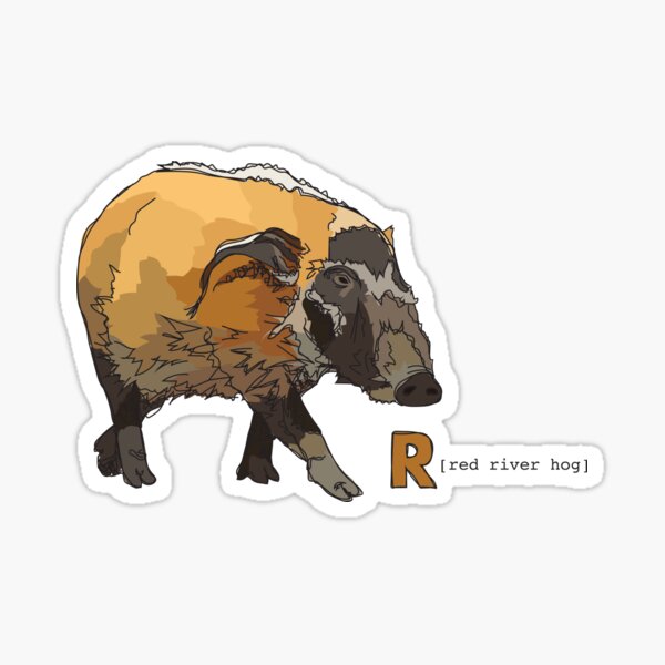 Funky Animal Alphabet: R is for Red River Hog Sticker