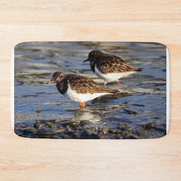 Item preview, Ruddy turnstones designed and sold by GreyFeatherPhot.