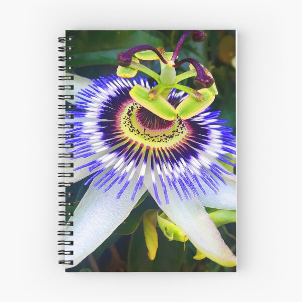 Item preview, Purple Passionflower designed and sold by helengarvey.