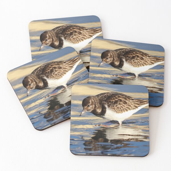 Item preview, Turnstone reflection designed and sold by GreyFeatherPhot.