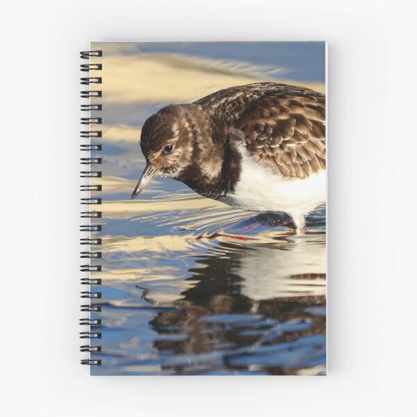 Item preview, Turnstone reflection designed and sold by GreyFeatherPhot.
