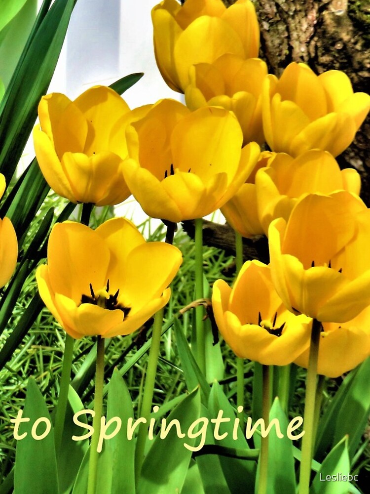 Thumbnail 4 of 4, iPhone Case, Welcome Springtime designed and sold by Lesliebc.