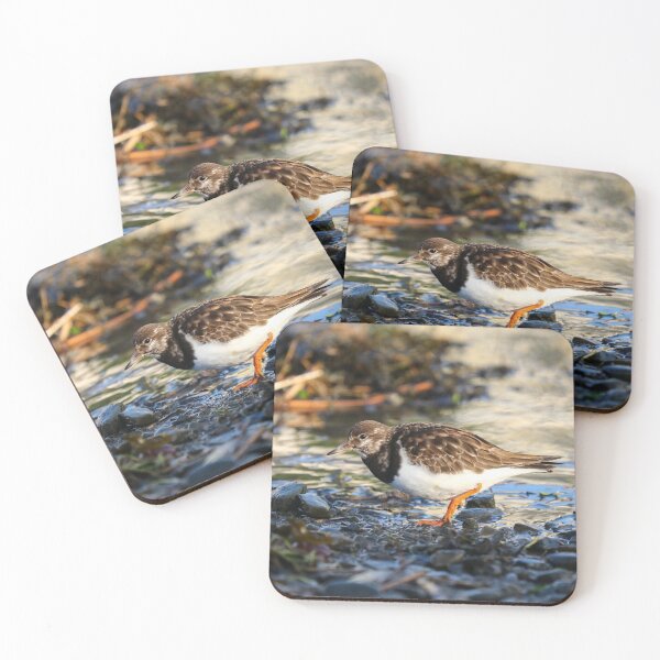 Item preview, Winter wader designed and sold by GreyFeatherPhot.