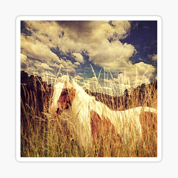 Spirit of the Majestic Sticker