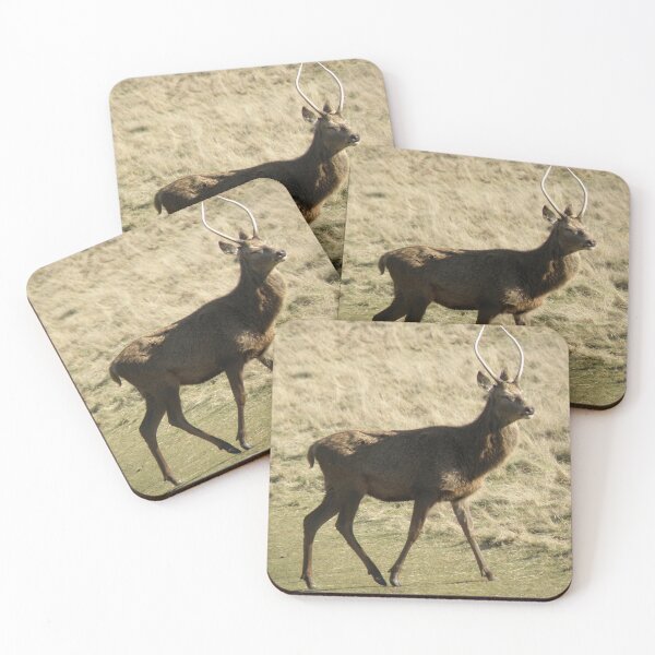 Item preview, Young Red Deer Stag Walking in Winter Photograph designed and sold by naturegallery.