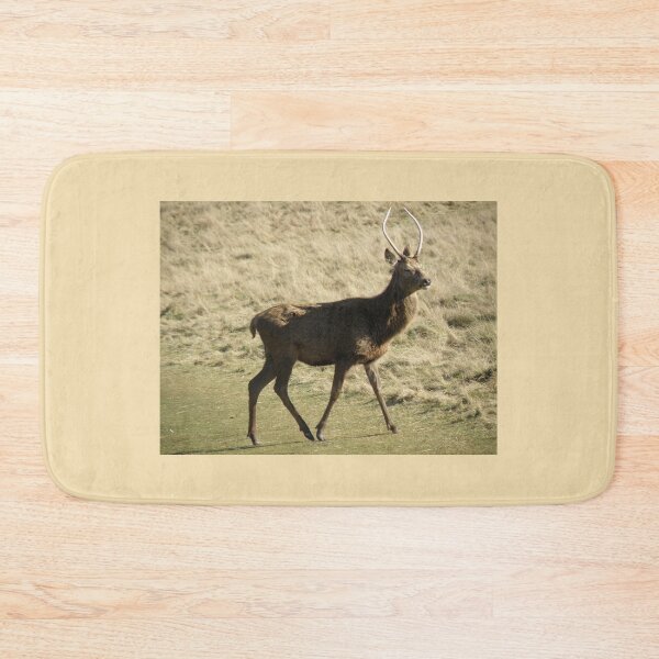 Item preview, Young Red Deer Stag Walking in Winter Photograph designed and sold by naturegallery.