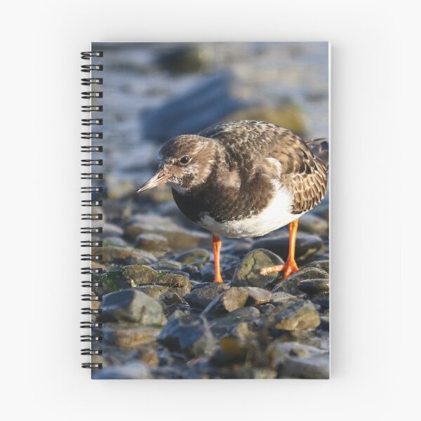 Item preview, Coastal migrant designed and sold by GreyFeatherPhot.