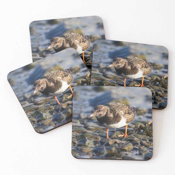 Item preview, Coastal migrant designed and sold by GreyFeatherPhot.