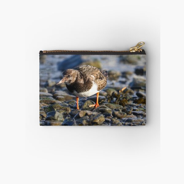 Item preview, Coastal migrant designed and sold by GreyFeatherPhot.