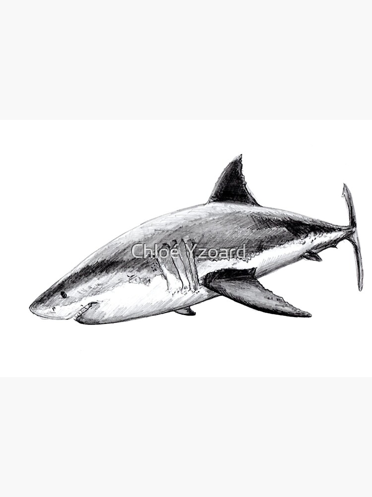 Great white shark by CHLOEYZOARD