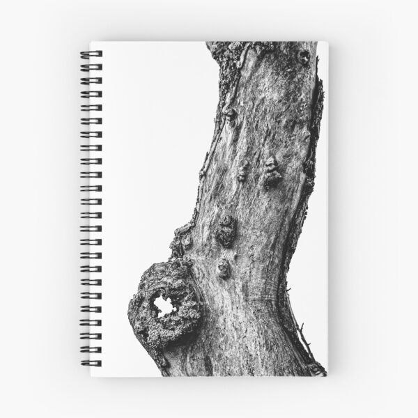 Artikelvorschau, Apfelbaum-Stamm entworfen und verkauft von novopics.