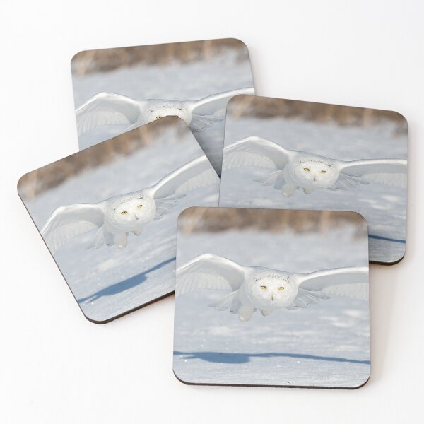 Item preview, Snowy Owl on the look out designed and sold by Simpsonwildlife.