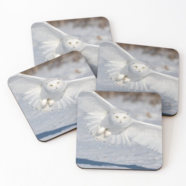 Item preview, Snowy Owl in flight designed and sold by Simpsonwildlife.