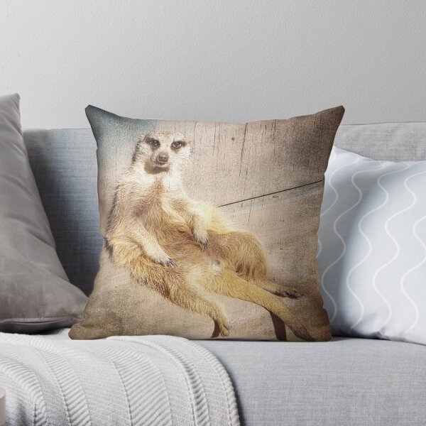 Funny Baby Meerkat Lounging, Grunge Throw Pillow
