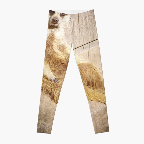 Funny Baby Meerkat Lounging, Grunge Leggings