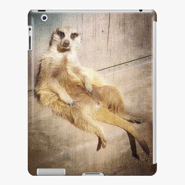 Funny Baby Meerkat Lounging, Grunge iPad Snap Case