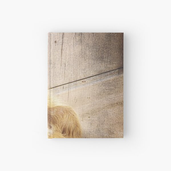 Funny Baby Meerkat Lounging, Grunge Hardcover Journal