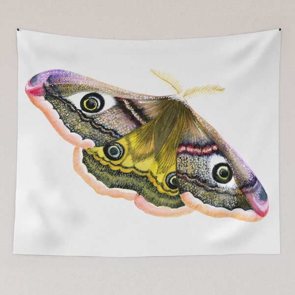 Item preview, Emperor Hawk Moth Watercolor Painting Wildlife Artwork designed and sold by Alison Langridge.