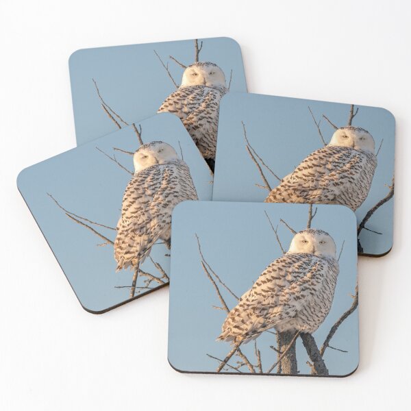 Item preview, Snowy Owl morning light designed and sold by Simpsonwildlife.