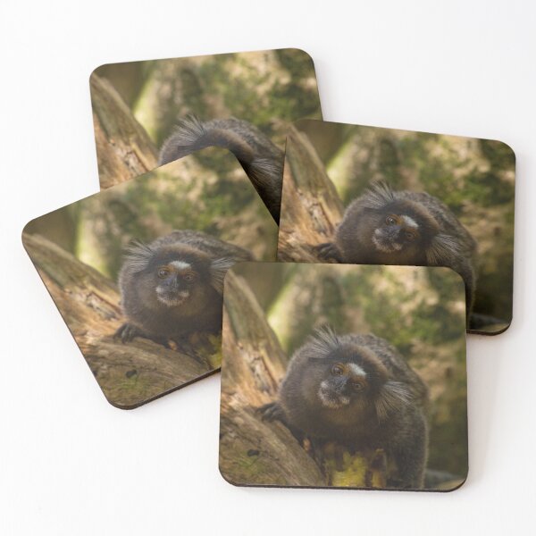 Item preview, Black-tufted Marmoset  designed and sold by MikeVBarry19.