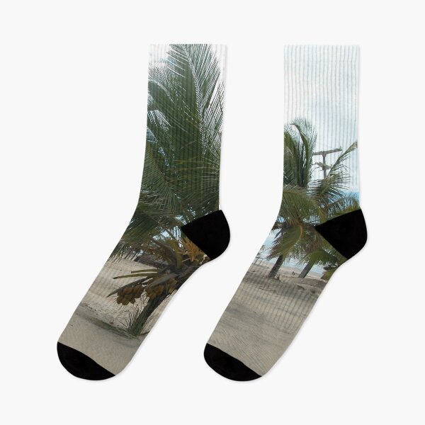 Item preview, Coconut Tree Tropical beach Palm trees, Brazil designed and sold by worldways.