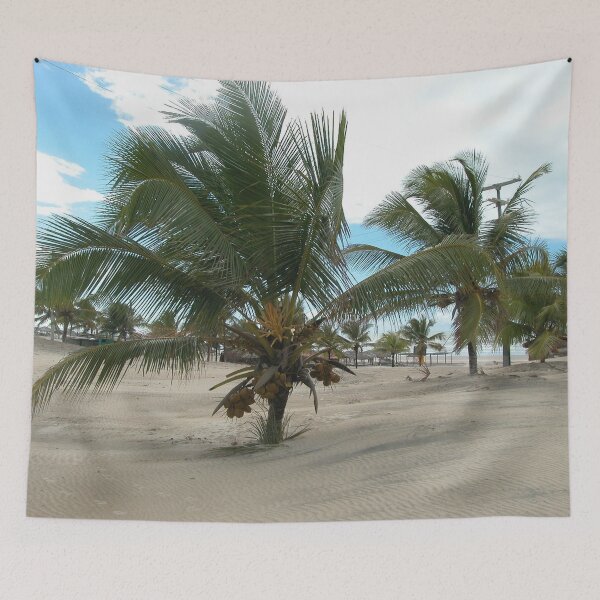 Item preview, Coconut Tree Tropical beach Palm trees, Brazil designed and sold by worldways.