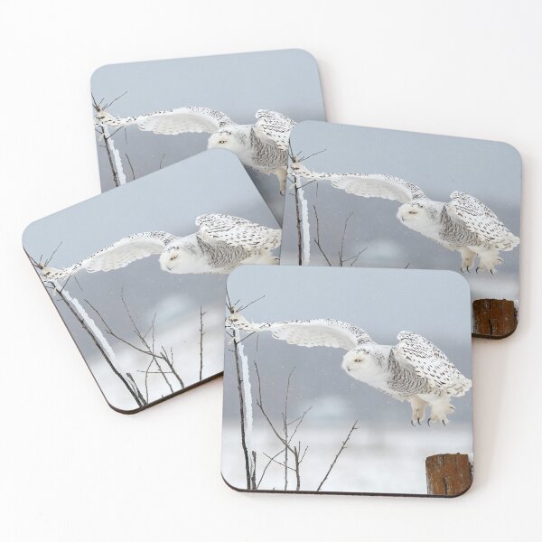 Item preview, Snowy Owl at lift off designed and sold by Simpsonwildlife.
