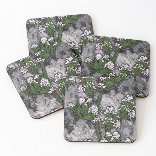 Item preview, erica multiflora designed and sold by yggdrasil-es.