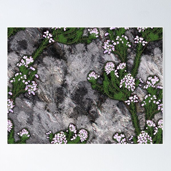 Item preview, erica multiflora designed and sold by yggdrasil-es.
