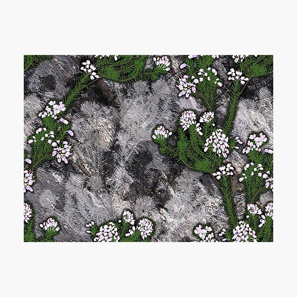 Item preview, erica multiflora designed and sold by yggdrasil-es.