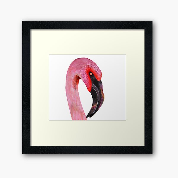 Pink Flamingo Bird Gouache Watercolor Painting Wildlife Artwork Framed Art Print