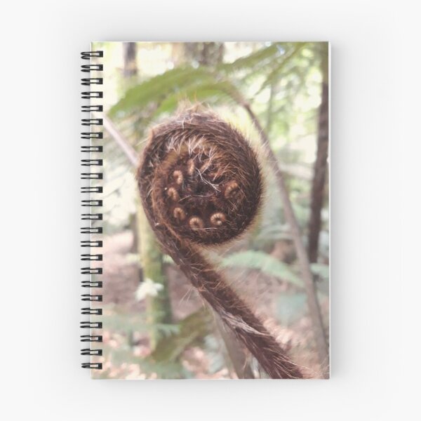 Item preview, Cyathea dealbata or the New Zealand Silver Fern or Ponga designed and sold by Bali2020.