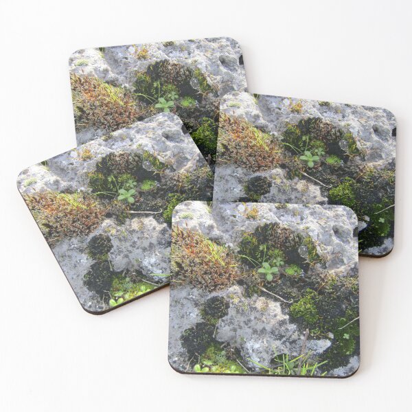 Item preview, moss and lichens growing on rock designed and sold by joshuarainbird.