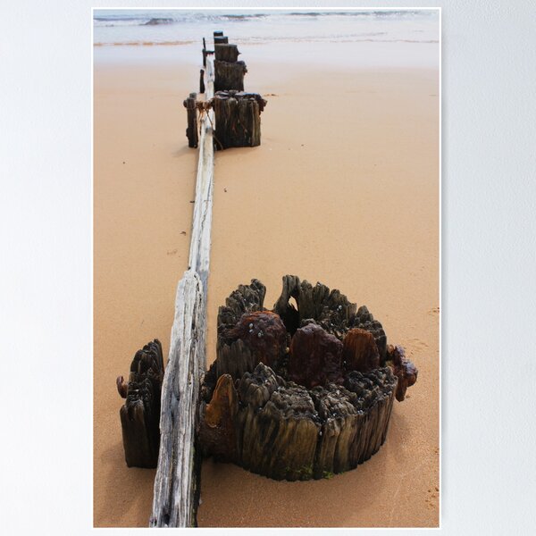 Item preview, Beach wood designed and sold by Jessica Brett.