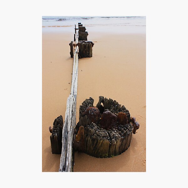 Item preview, Beach wood designed and sold by Jessica Brett.